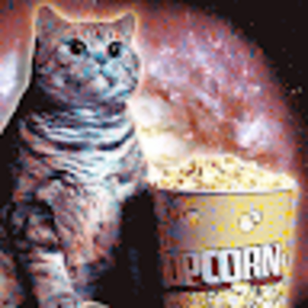 Meet your Posher, Kat